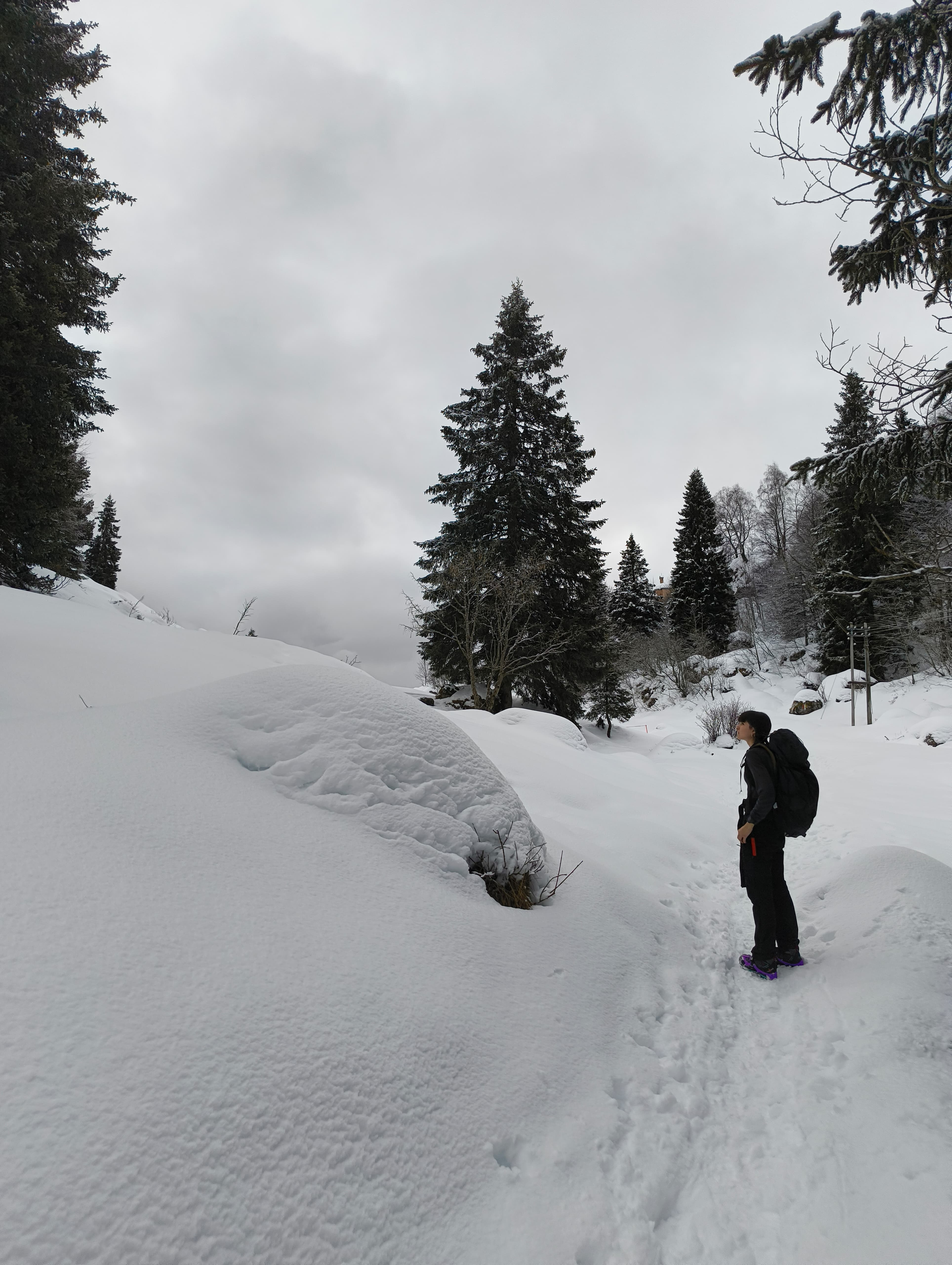 Foto n° 7 del trekking Monte Sodadura